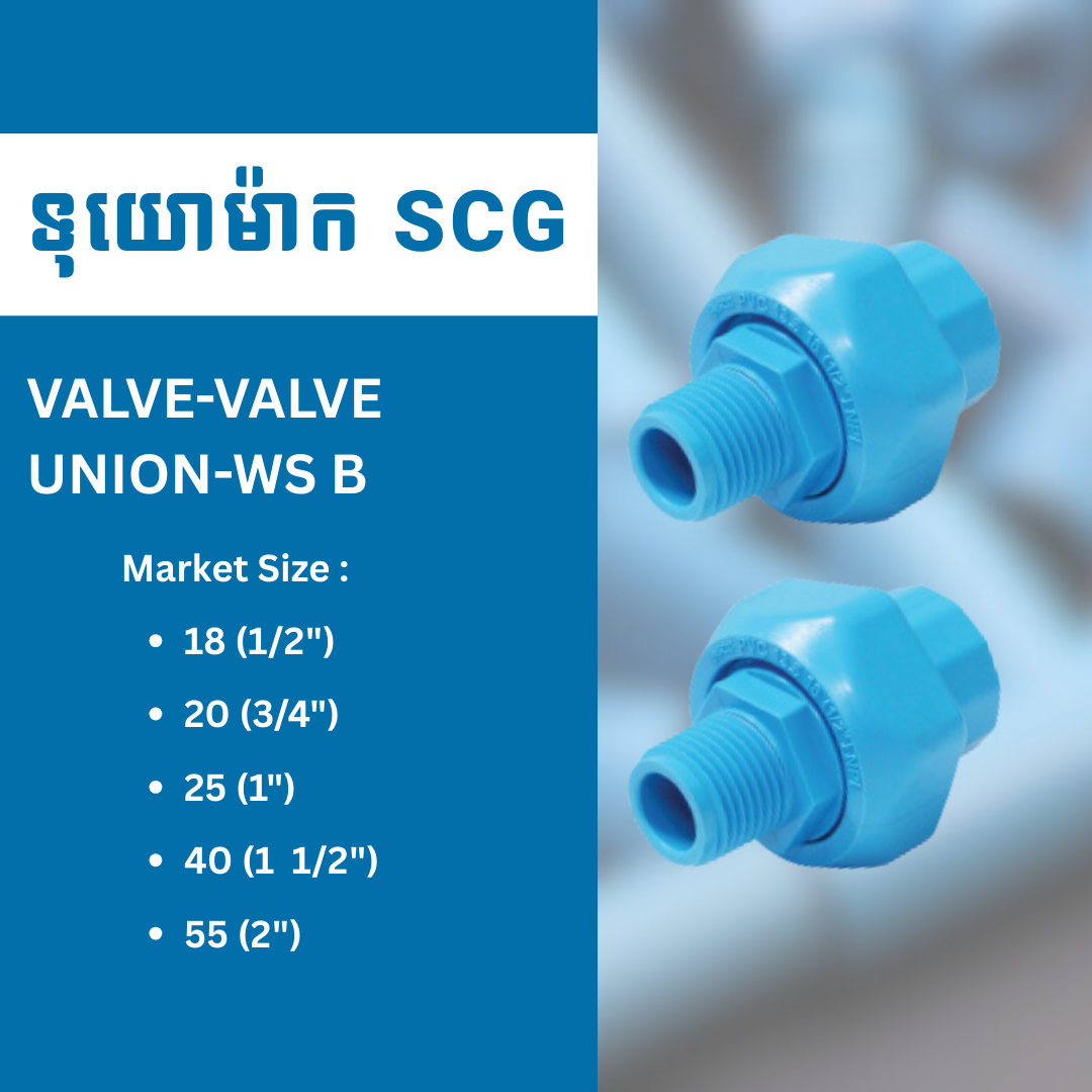 VALVE-VALVE UNION-WS B