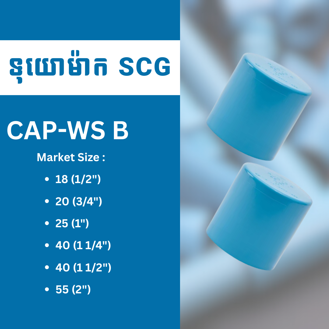 CAP-WS B