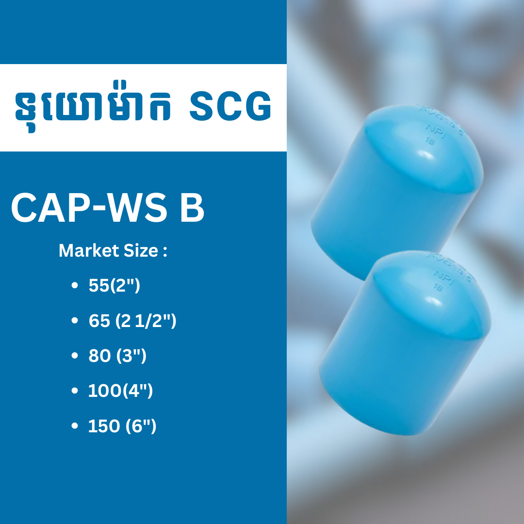 CAP-WS B
