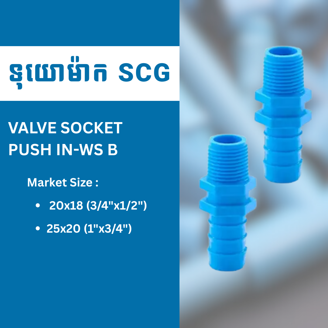 VALVE SOCKET PUSH IN-WS B