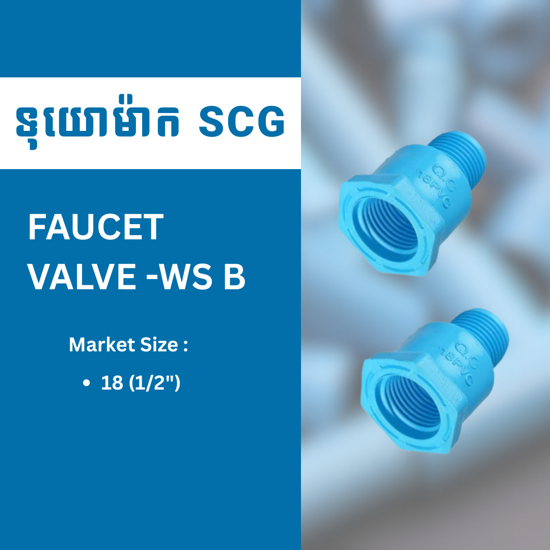 FAUCET VALVE -WS B