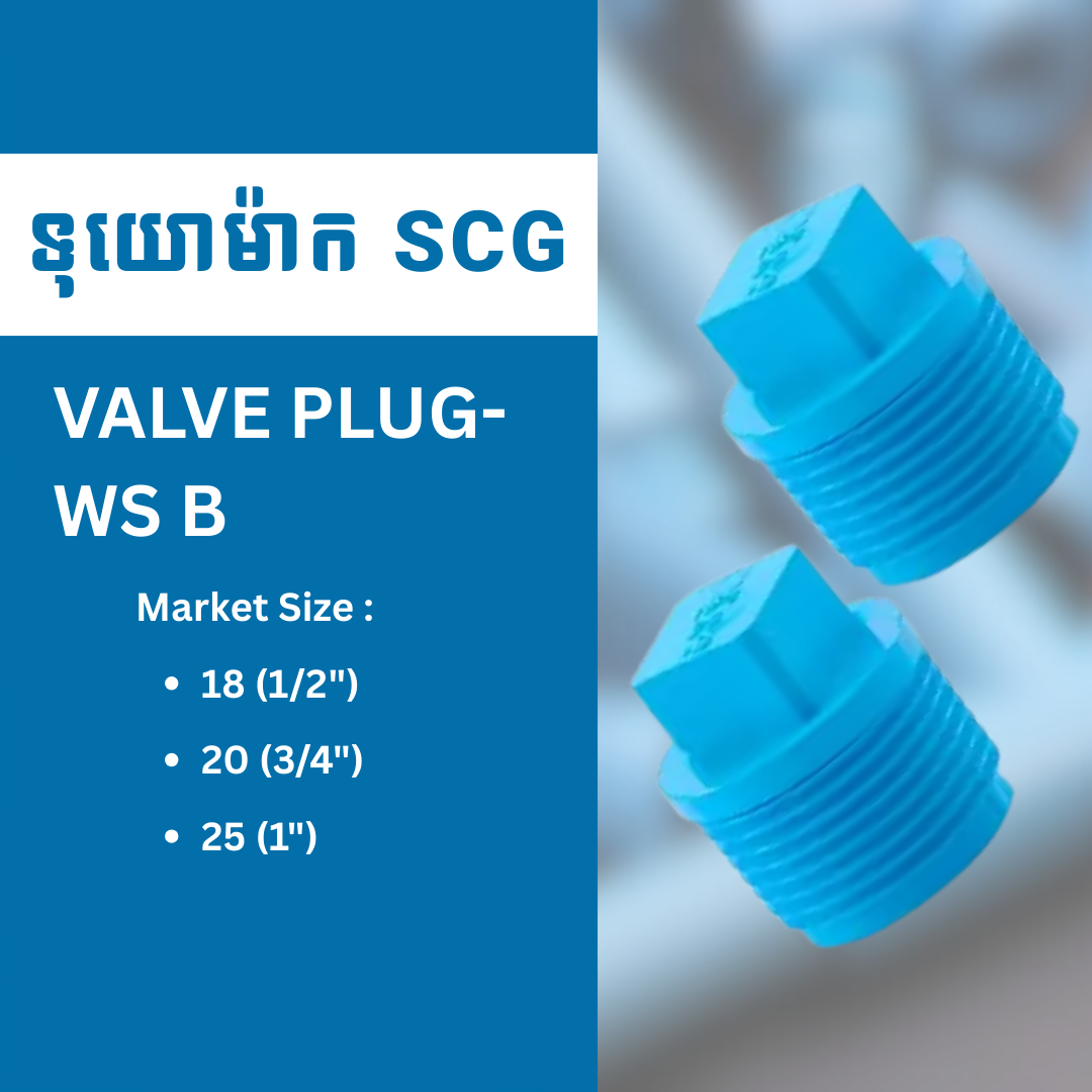 VALVE PLUG-WS B