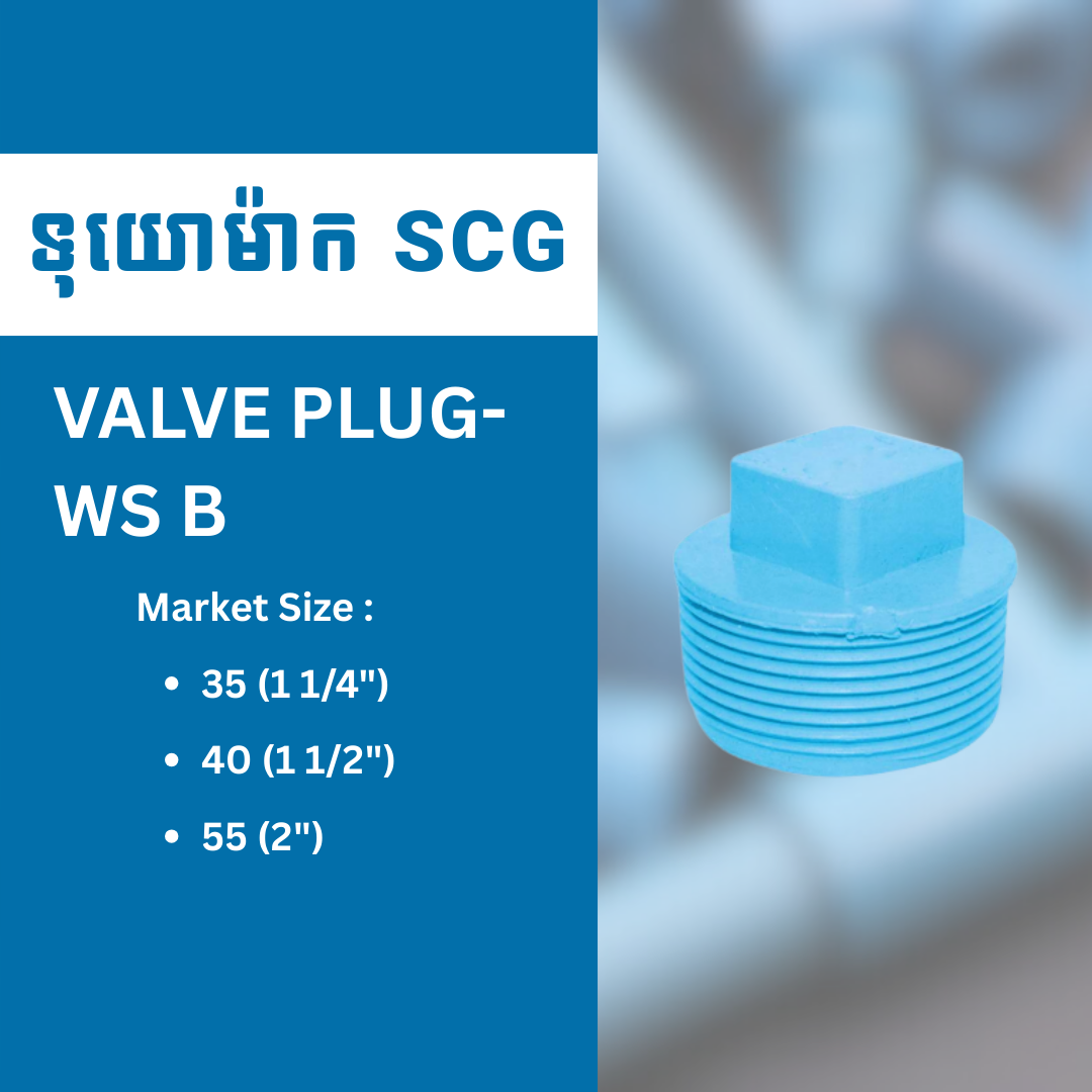 VALVE PLUG-WS B