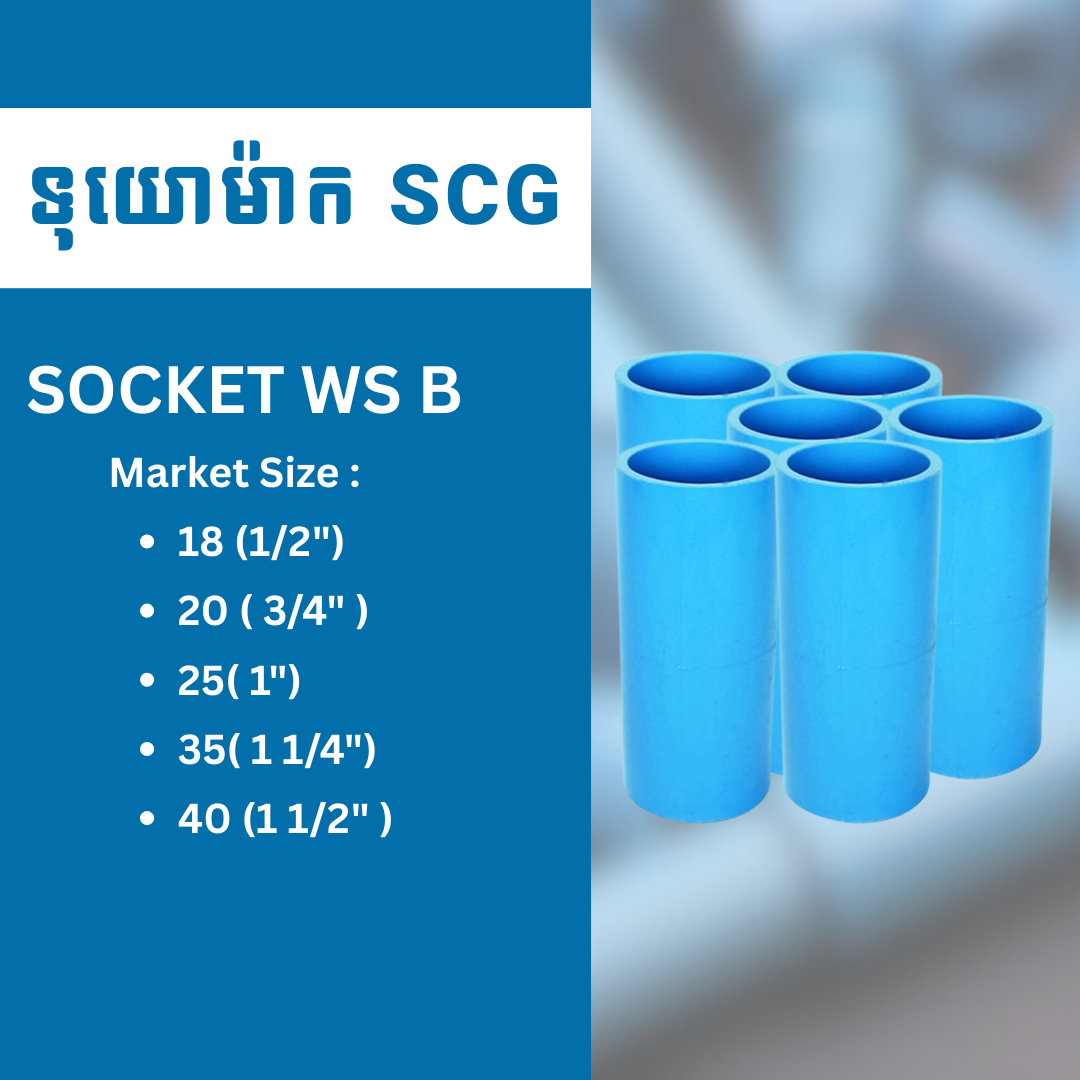 SOCKET WS B