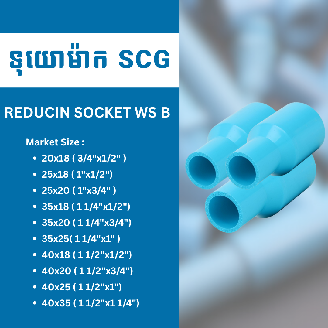 REDUCIN SOCKET WS B