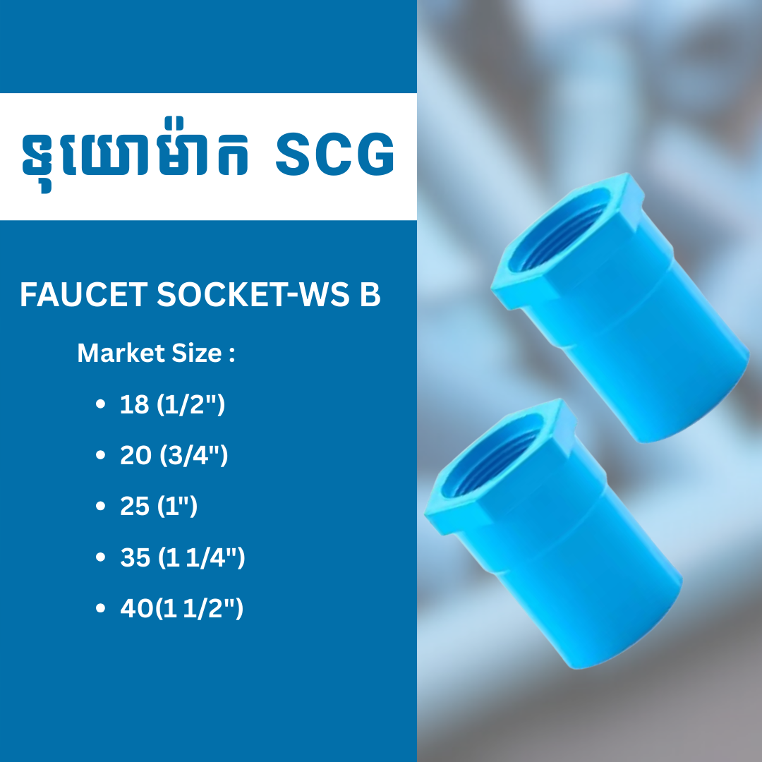 FAUCET SOCKET-WS B