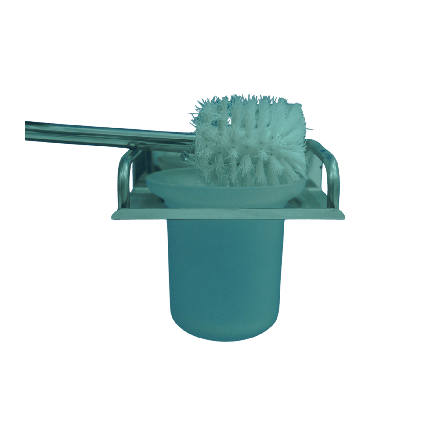 Brush the toilet