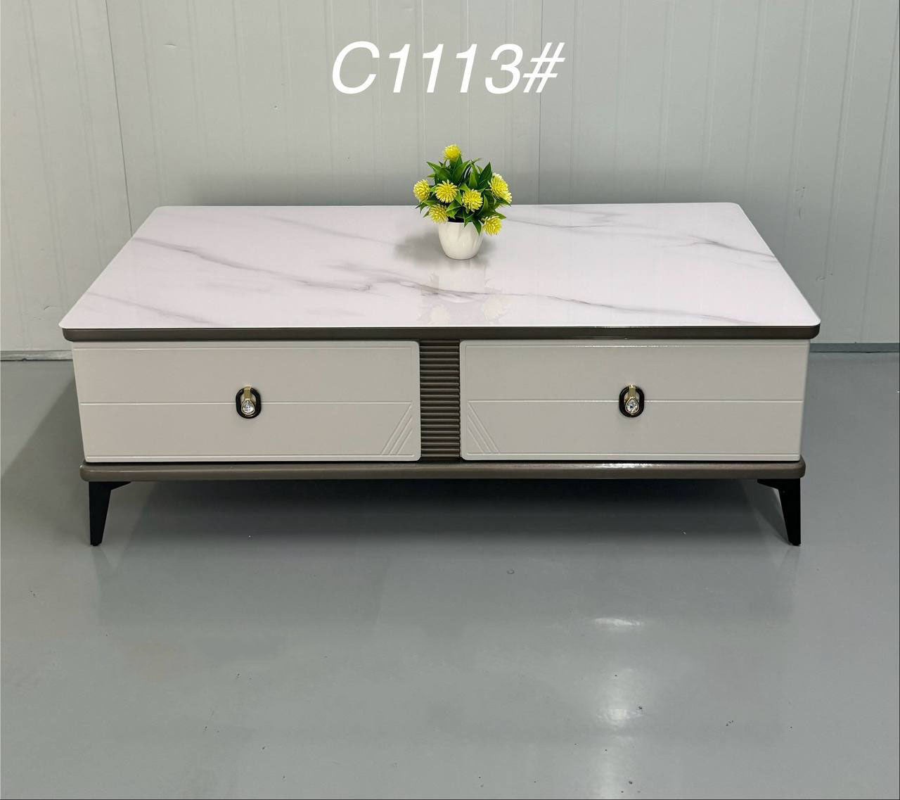 COFFEE TABLE (1113)