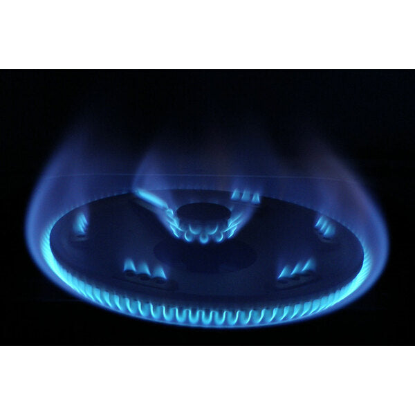 2 Bumer Gas Cooker (R-522MM)