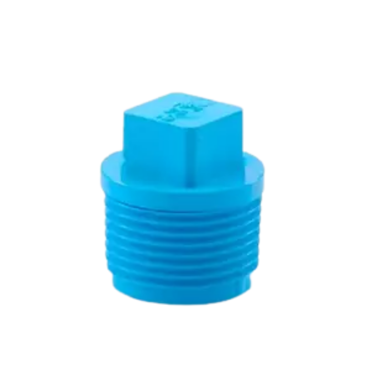 VALVE PLUG-WS B