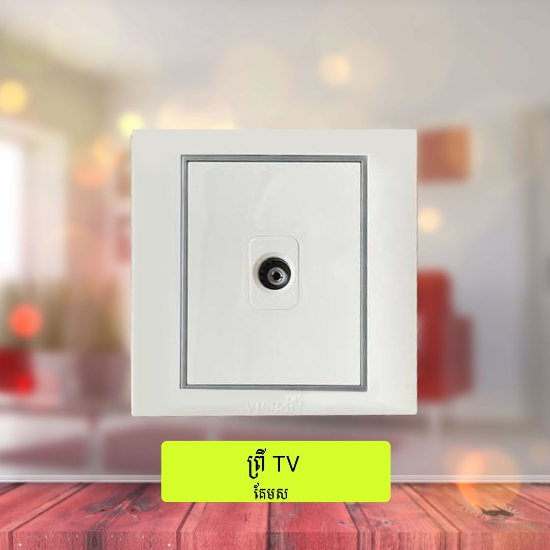 TV Socket