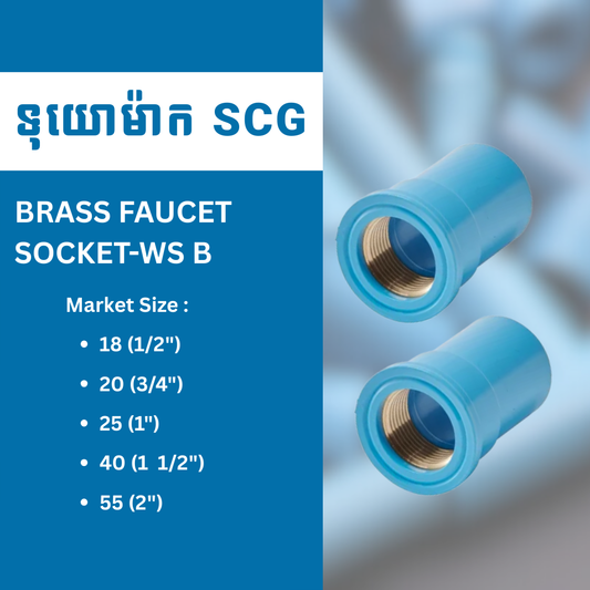 BRASS FAUCET SOCKET-WS B
