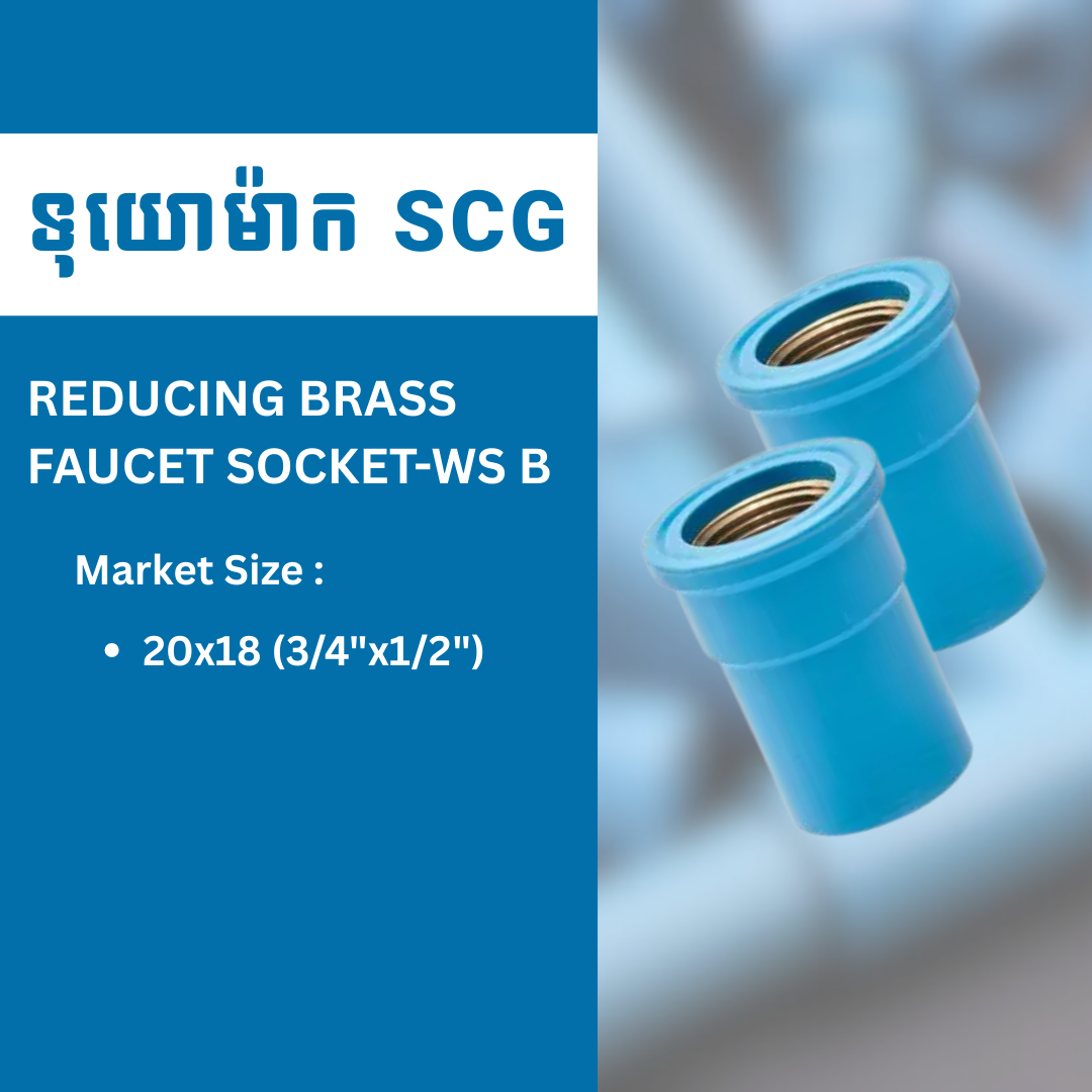 REDUCING BRASS FAUCET SOCKET-WS B