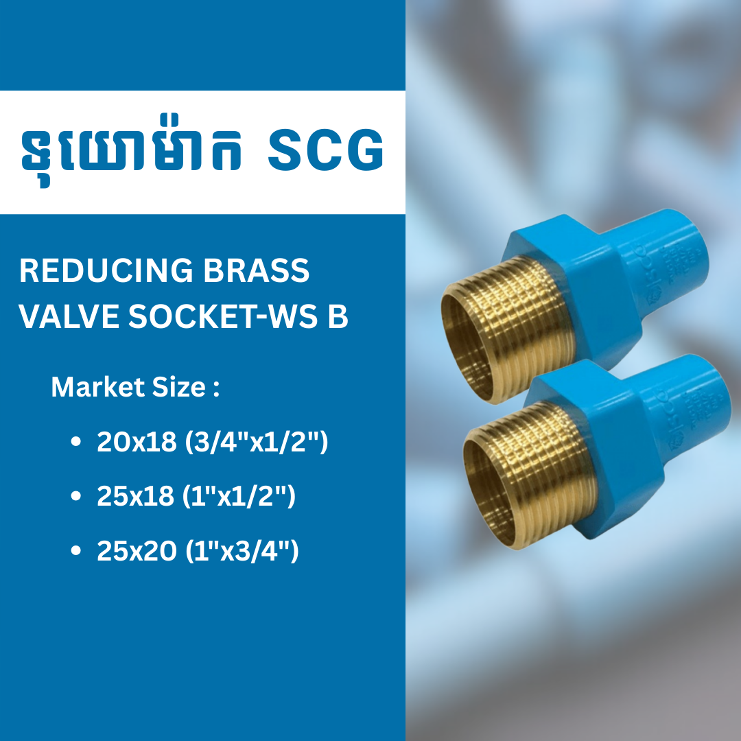 REDUCING BRASS VALVE SOCKET-WS B