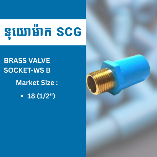 BRASS VALVE SOCKET-WS B