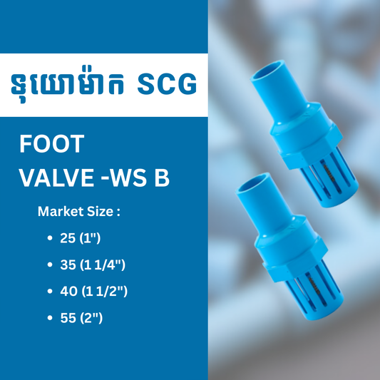 FOOT VALVE -WS B