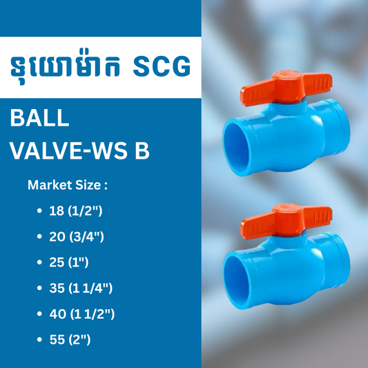 BALL VALVE-WS B