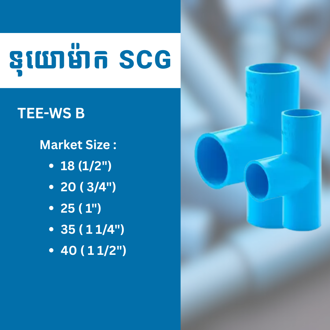 TEE-WS B