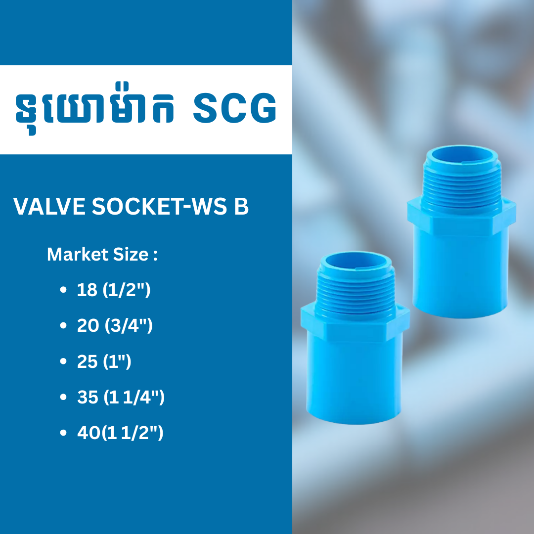 VALVE SOCKET-WS B
