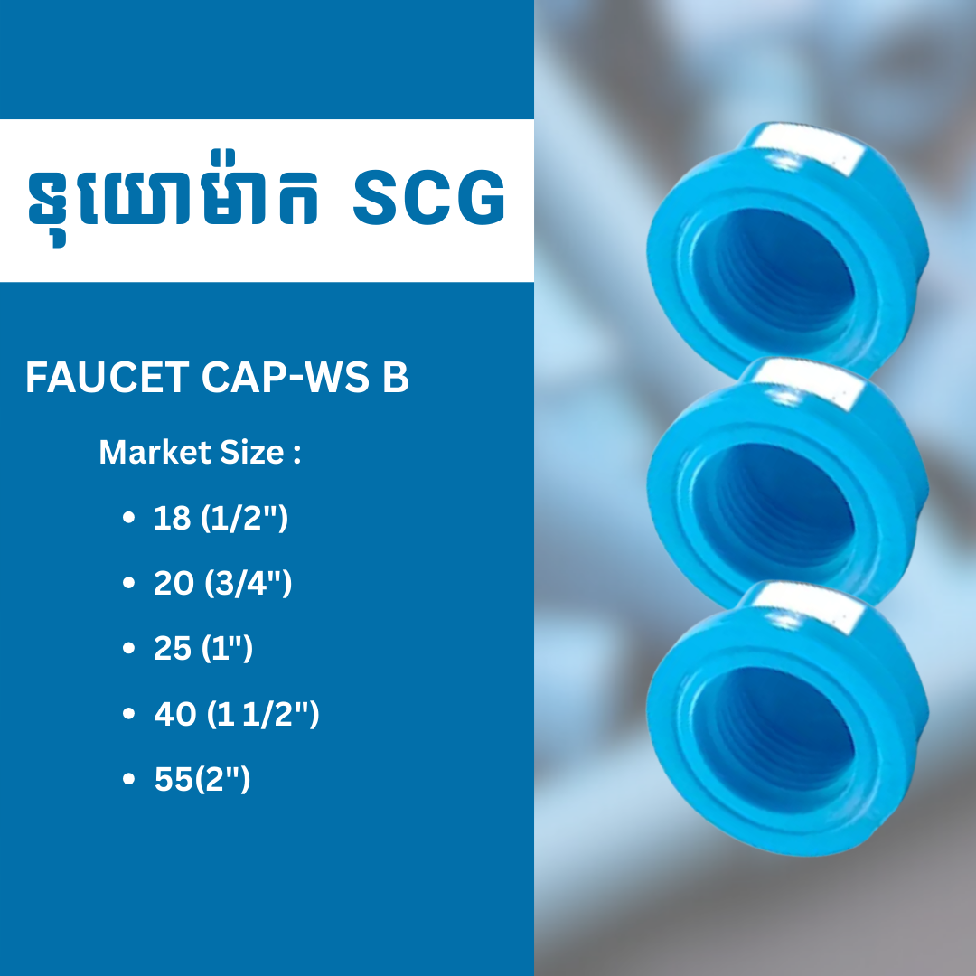 FAUCET CAP-WS B