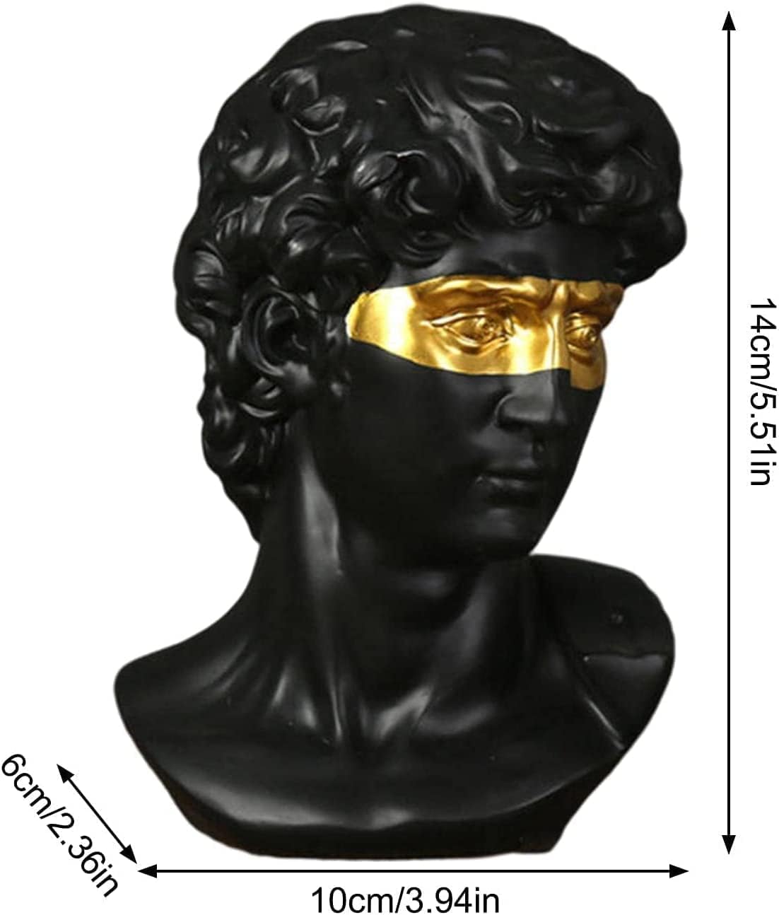 David Head Statues(15)