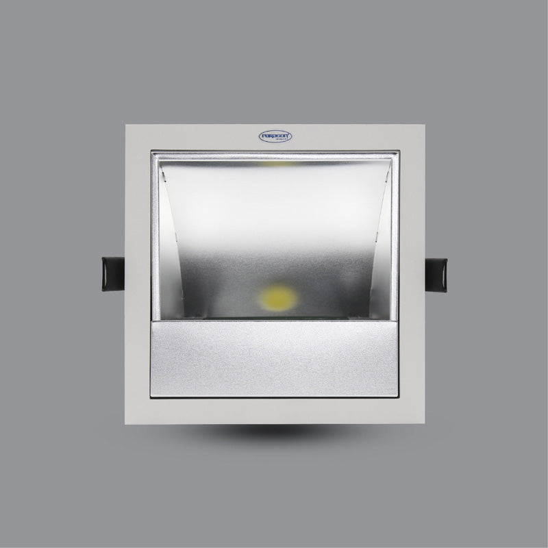 LED RECESSED DOWNLIGHT (PRDXX176L20)