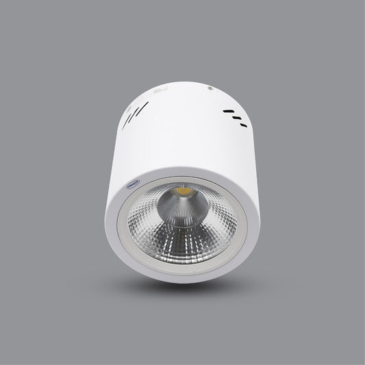 LED SURFACE DOWNLIGHT (PSDOO170L20)