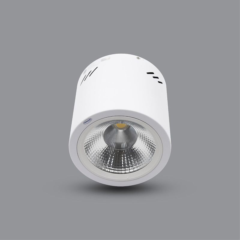 LED SURFACE DOWNLIGHT (PSDOO132L10)