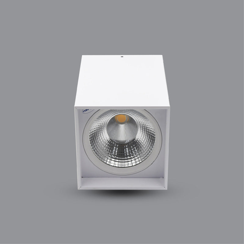 LED SURFACE DOWNLIGHT (PSDLL170L20)