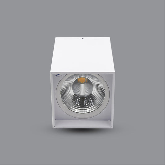 LED SURFACE DOWNLIGHT (PSDLL230L30)