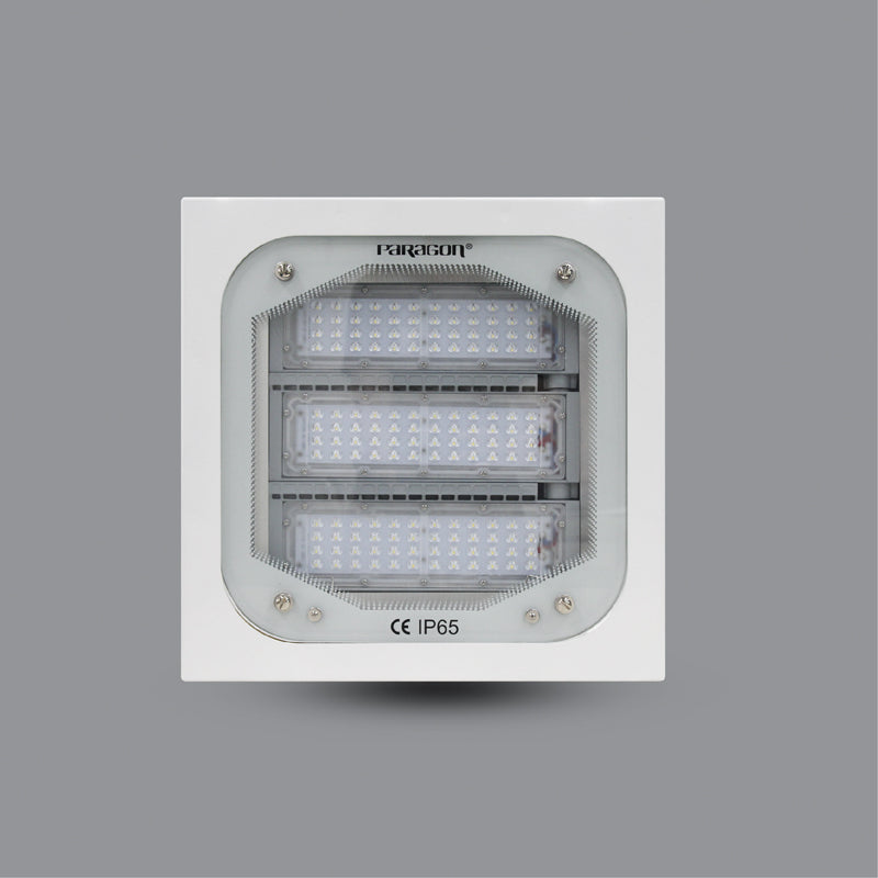 CANOPY (PUCH12065L)