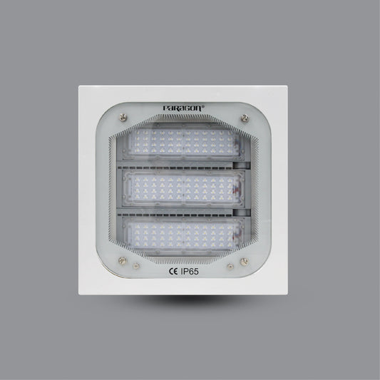 CANOPY (PUCH12065L)