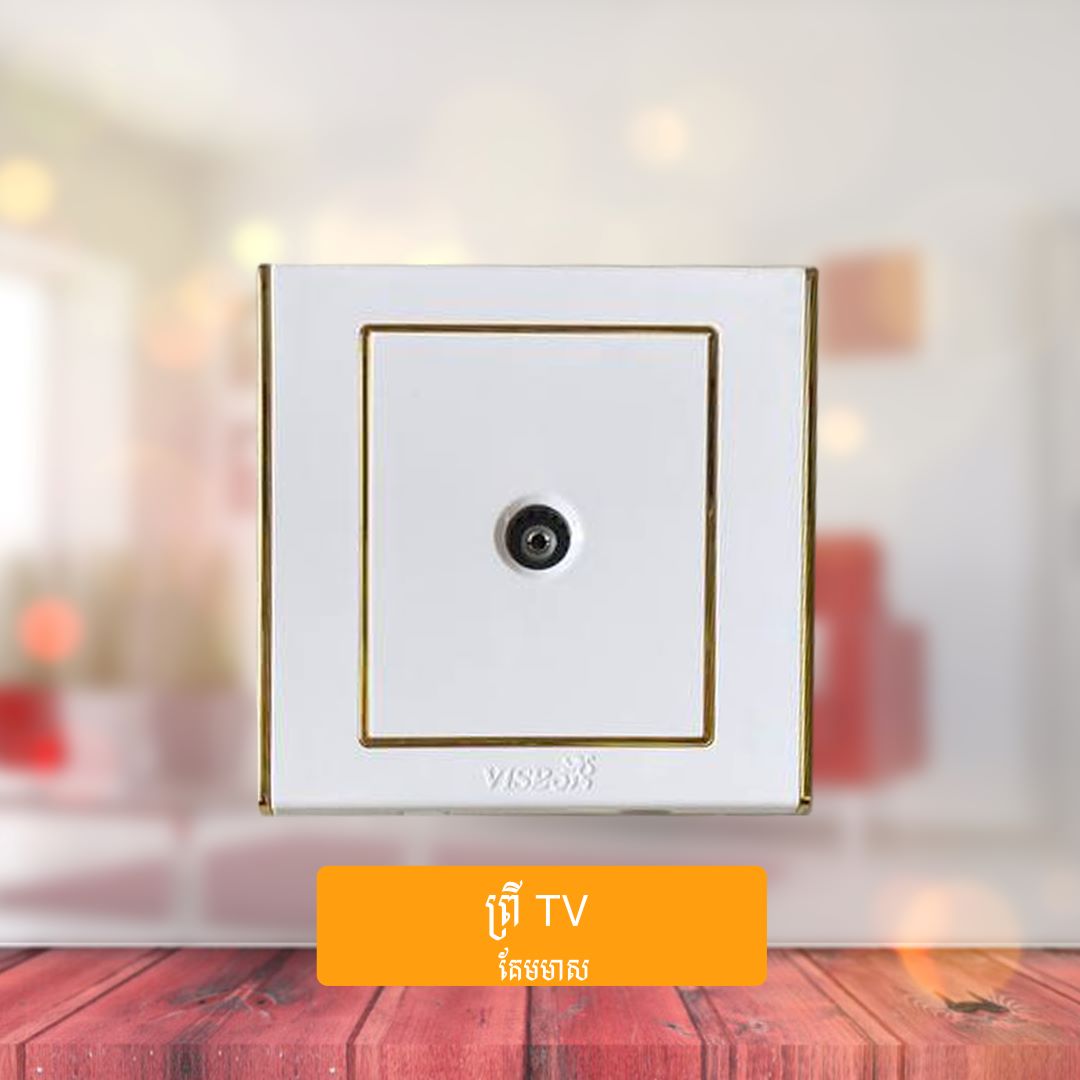 TV Socket
