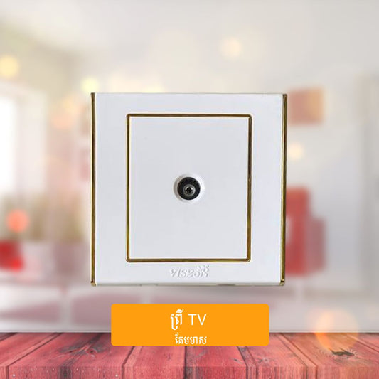 TV Socket