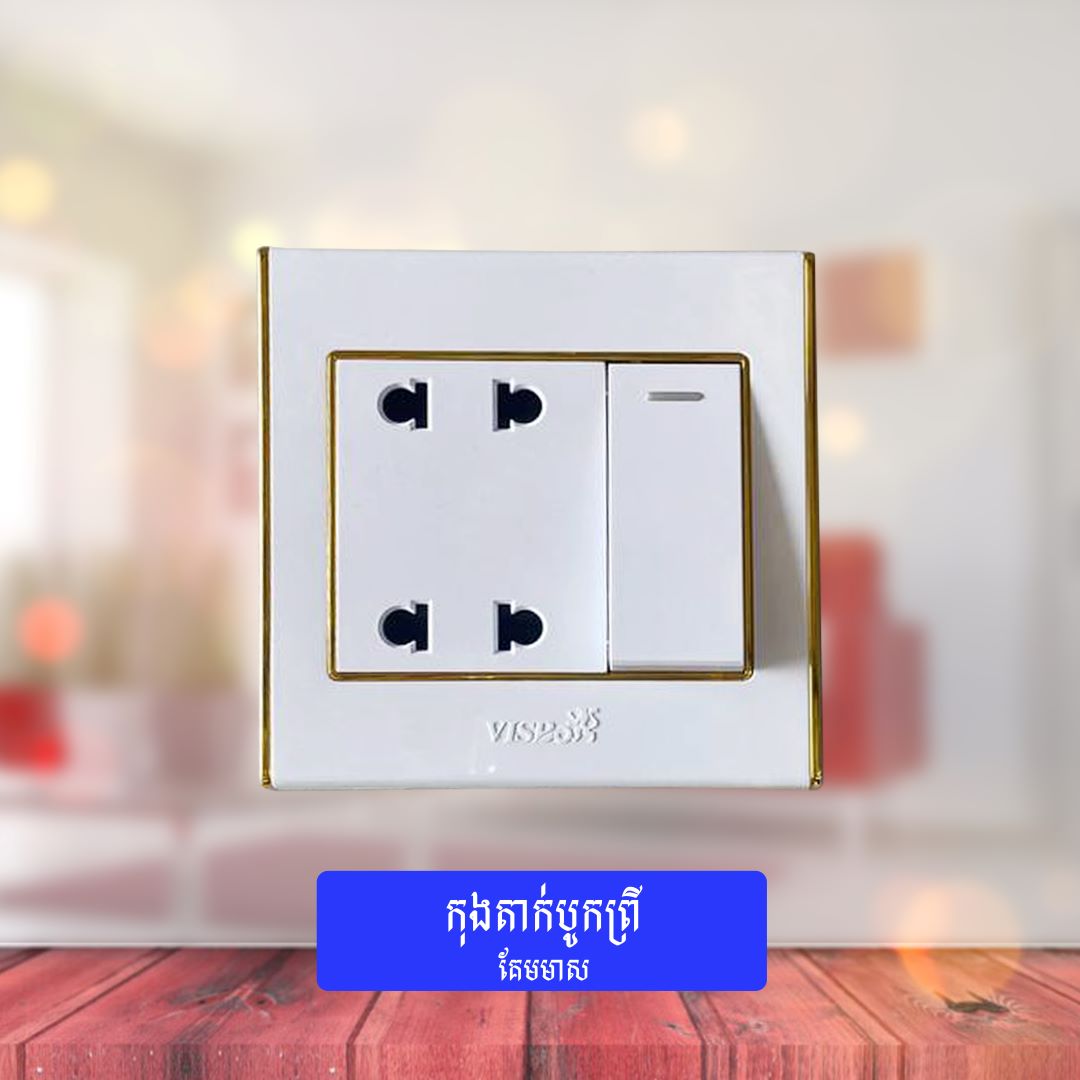 Socket&Switches