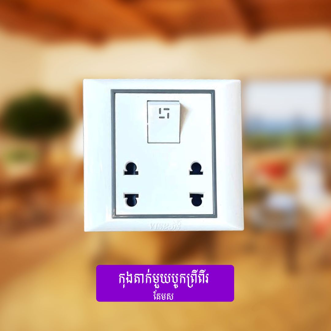 Socket&Switches