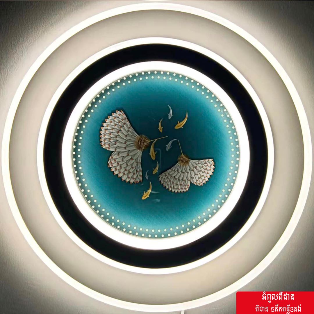 LED CEILING FLUSH LIGHT