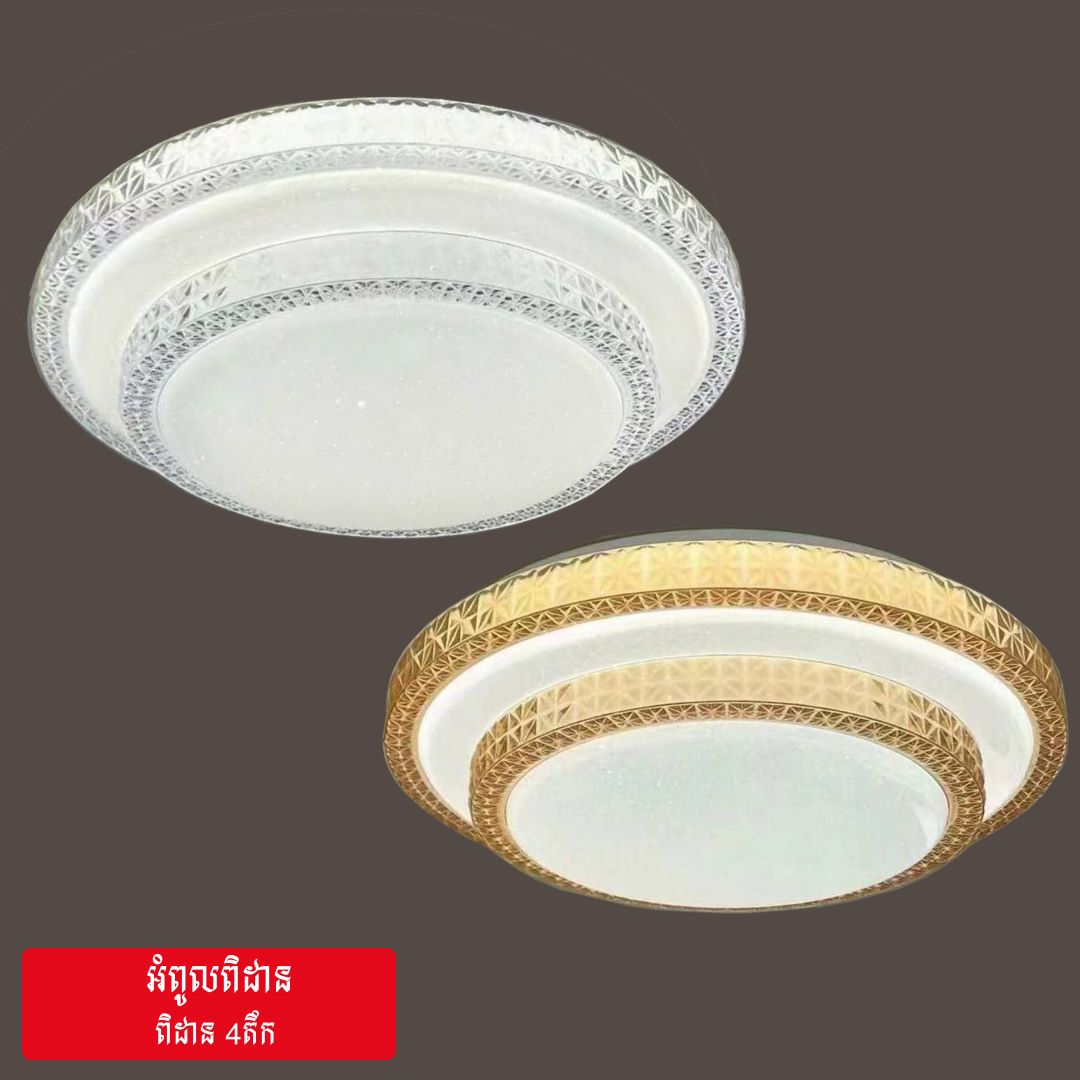 LED CEILING FLUSH LIGHT