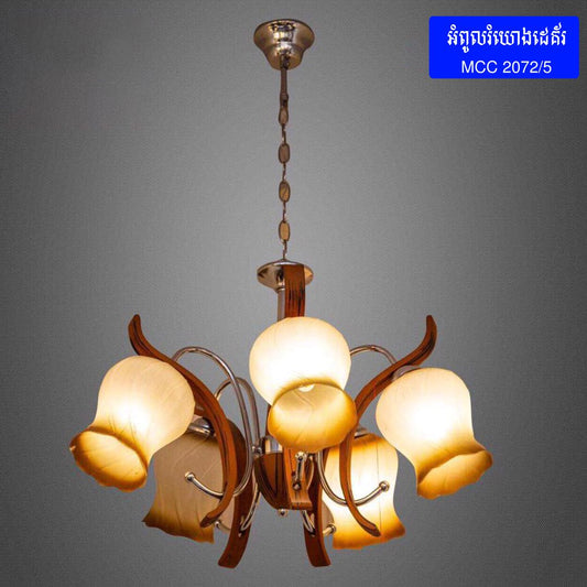 CEILING FLUSH LIGHT