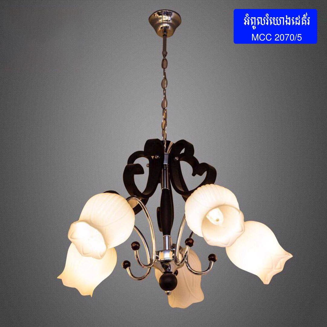 CEILING FLUSH LIGHT